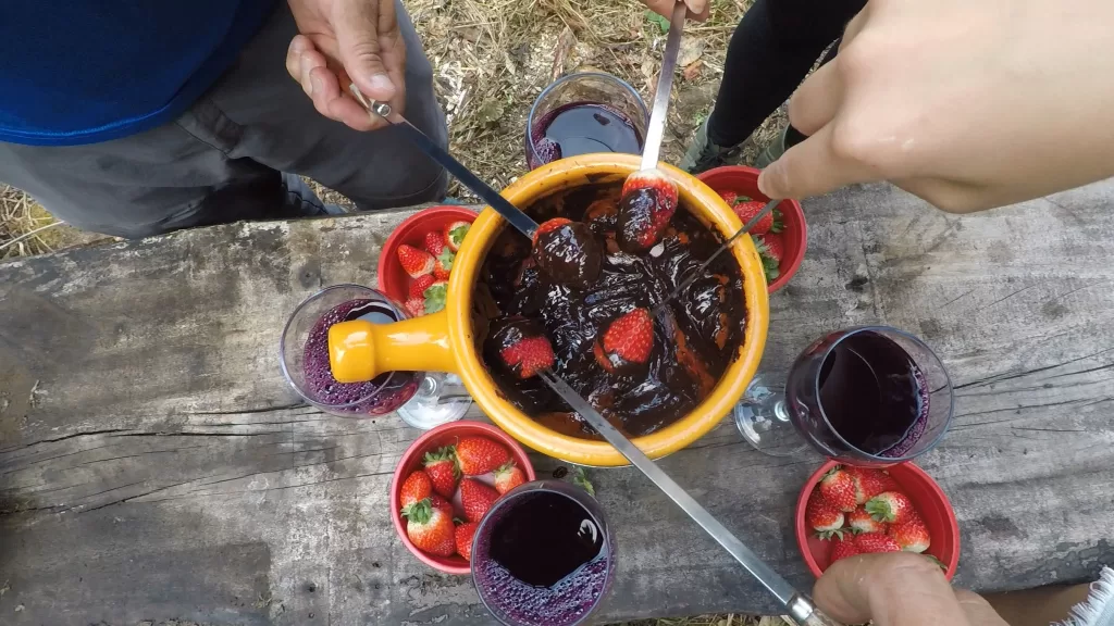 Viva uma experiência gastronômica ao ar livre no tour Morangos ao Sol Maior