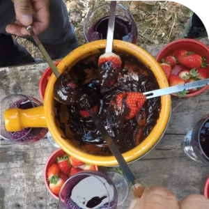 Tour Morangos ao sol maior