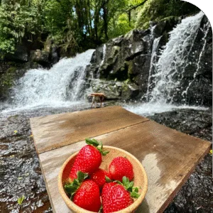 Almoço na Trilha | Cascata do Poço Negro